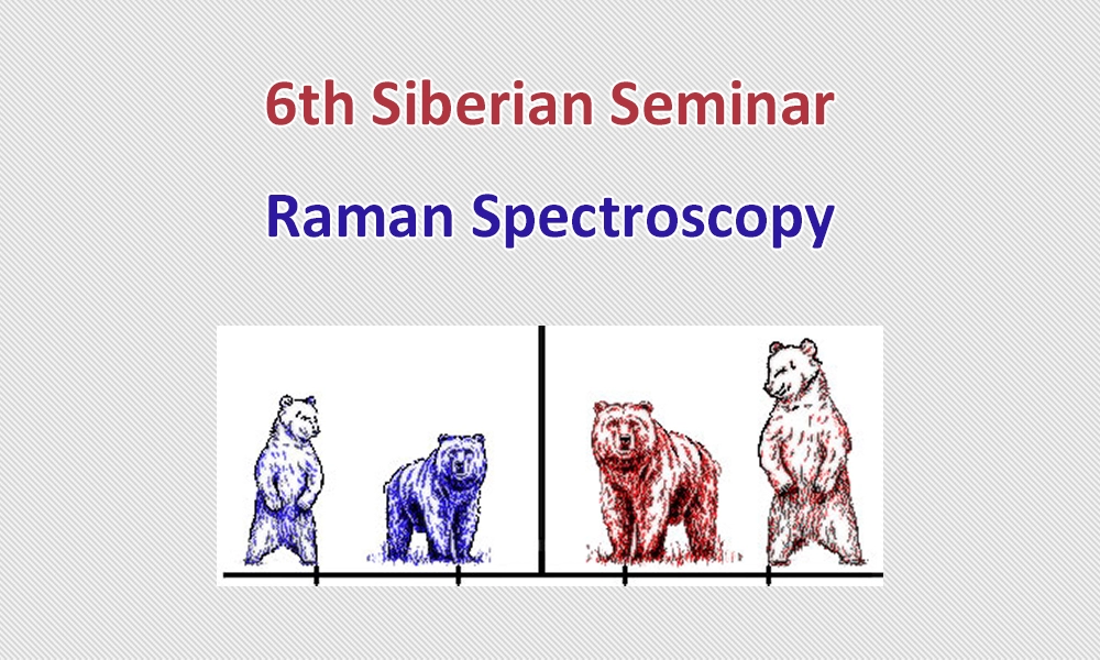 6 Сибирский семинар Спектроскопия комбинационного рассеяния света